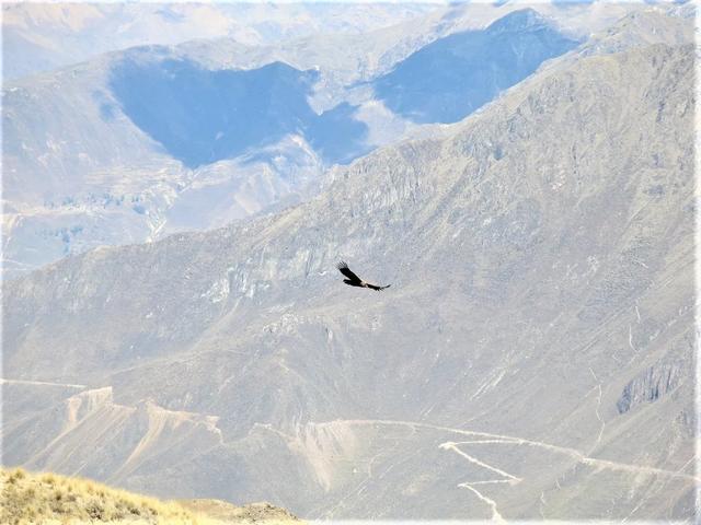 秘魯旅行,讓我們一起探索白色之城阿雷基帕