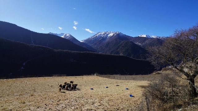 四姑娘雪山攀登,攀駱駝峰的點點記憶