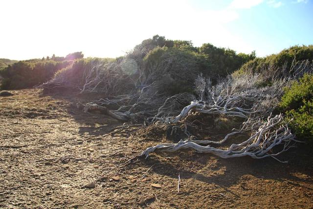 說走就走的小眾旅行目的地,澳大利亞塔斯馬尼亞游記