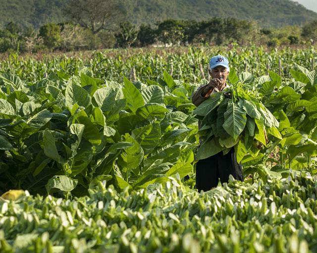 古巴自由行,在古巴旅游是一種怎樣的體驗?