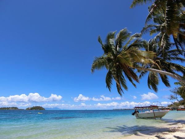 大溪地自助游,法屬玻里尼西亞群島之一Bora Bora游記