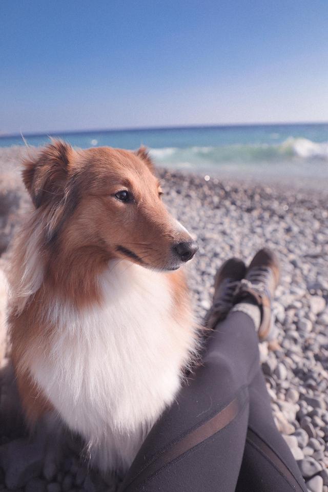 穿著Merrel(邁樂)戶外鞋陪著我上山下海,一雙即能滿足旅途上不同需求