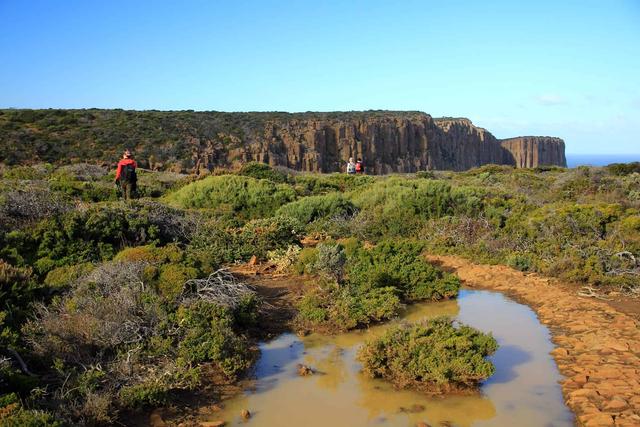 說走就走的小眾旅行目的地,澳大利亞塔斯馬尼亞游記