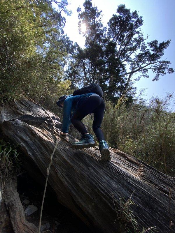 小姐姐穿的戶外鞋,看這雙salomon薩洛蒙戶外防水登山鞋實測