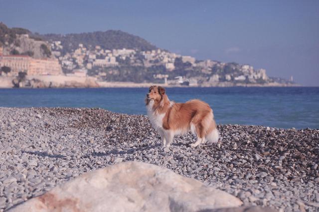 穿著Merrel(邁樂)戶外鞋陪著我上山下海,一雙即能滿足旅途上不同需求