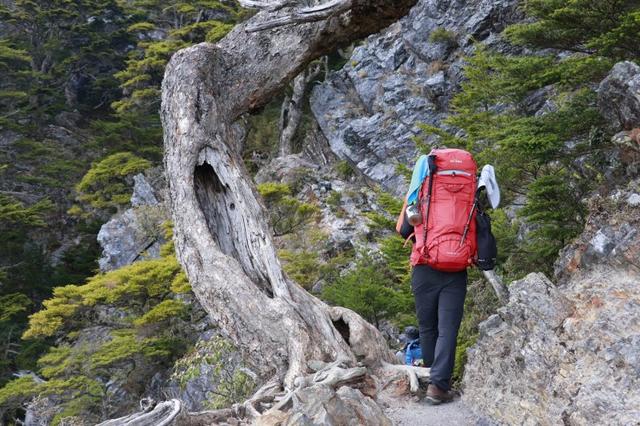 背包推薦,讓我們一起背上Tatonka(塔通卡)到戶外撒野吧