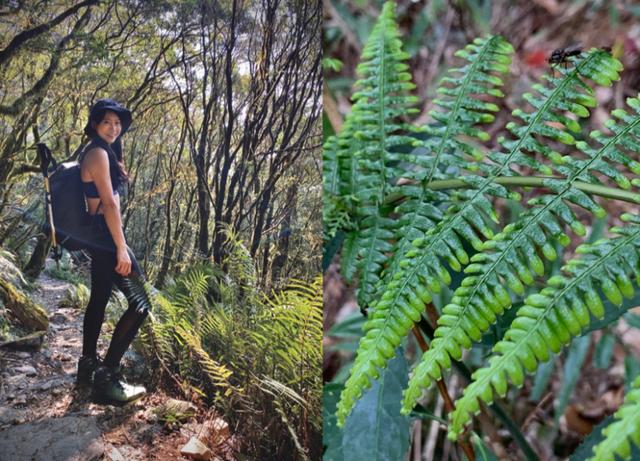 小姐姐穿的戶外鞋,看這雙salomon薩洛蒙戶外防水登山鞋實測