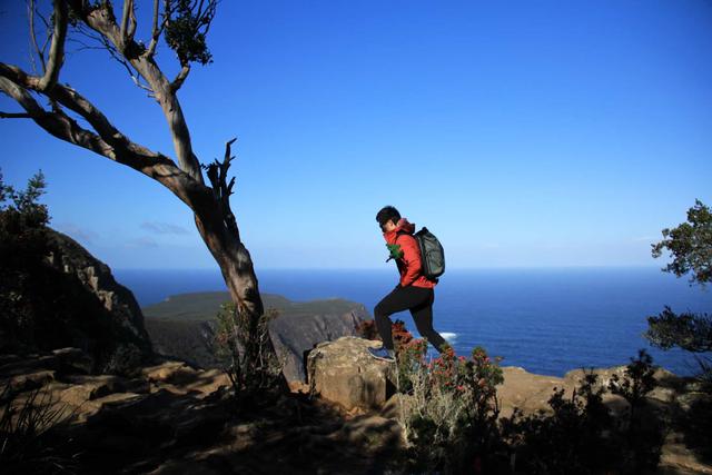 說走就走的小眾旅行目的地,澳大利亞塔斯馬尼亞游記