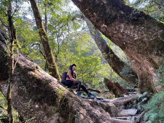 小姐姐穿的戶外鞋,看這雙salomon薩洛蒙戶外防水登山鞋實測