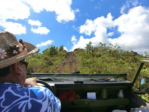 大溪地自助游,法屬玻里尼西亞群島之一Bora Bora游記