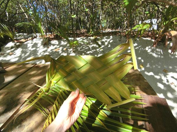 大溪地自助游,法屬玻里尼西亞群島之一Bora Bora游記