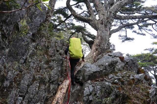 背包推薦,讓我們一起背上Tatonka(塔通卡)到戶外撒野吧