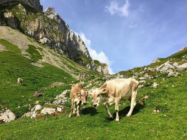 去瑞士徒步旅行,那得來(lái)阿彭策爾小鎮(zhèn)法倫湖的這幾條徒步線路