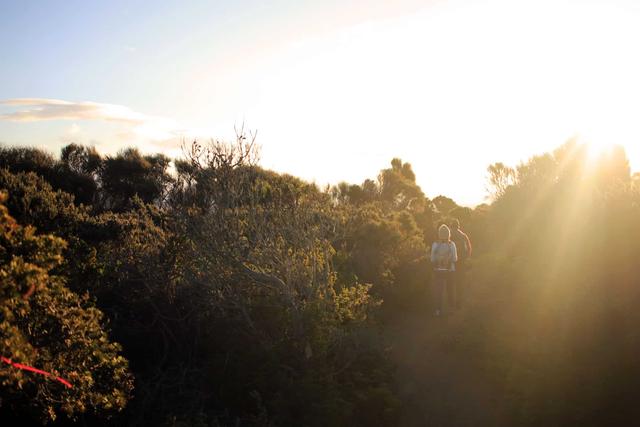 說走就走的小眾旅行目的地,澳大利亞塔斯馬尼亞游記