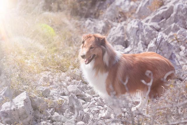 穿著Merrel(邁樂)戶外鞋陪著我上山下海,一雙即能滿足旅途上不同需求