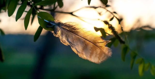 登山裝備檢查表,讓你的每次戶外徒步登山更輕松