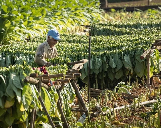 古巴自由行,在古巴旅游是一種怎樣的體驗?