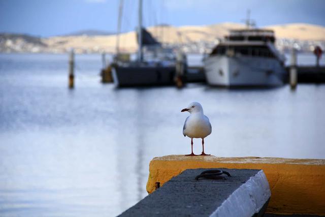 說走就走的小眾旅行目的地,澳大利亞塔斯馬尼亞游記