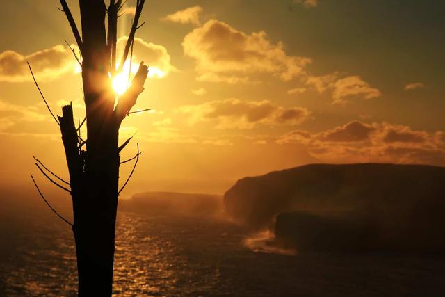 說走就走的小眾旅行目的地,澳大利亞塔斯馬尼亞游記