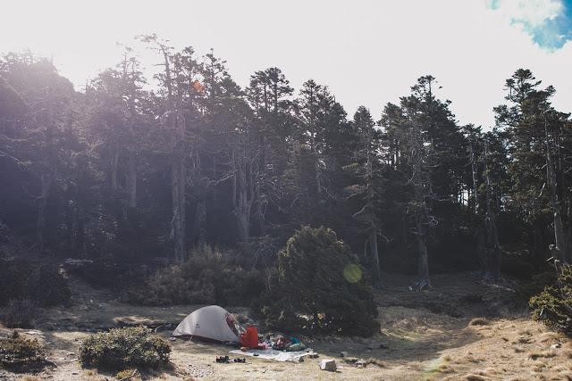 夏季怕熱的人可以穿這速干短袖,奧遞樂(odlo)底層衣實測