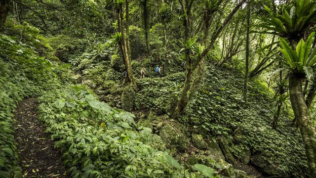 天氣炎熱,愛戶外徒步旅行的你要注意些什么?