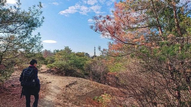 Mystery Ranch神秘農(nóng)場背包開箱,總的來說是不錯的一款戰(zhàn)術(shù)雙肩包