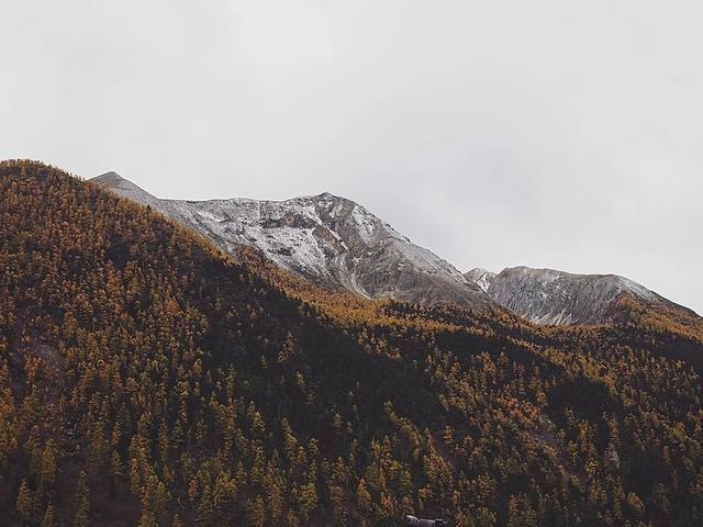 還記得那年秋天的稻城亞丁嗎?第一次去稻城亞丁旅游心得體會