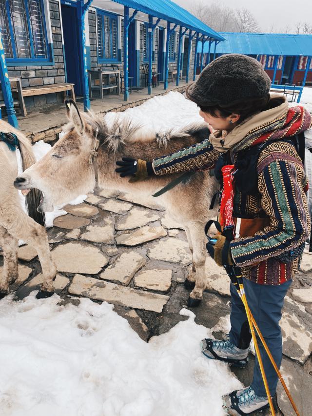 那些年我們一起穿過的戶外裝備,HOKA ONE ONE真的能登山嗎?