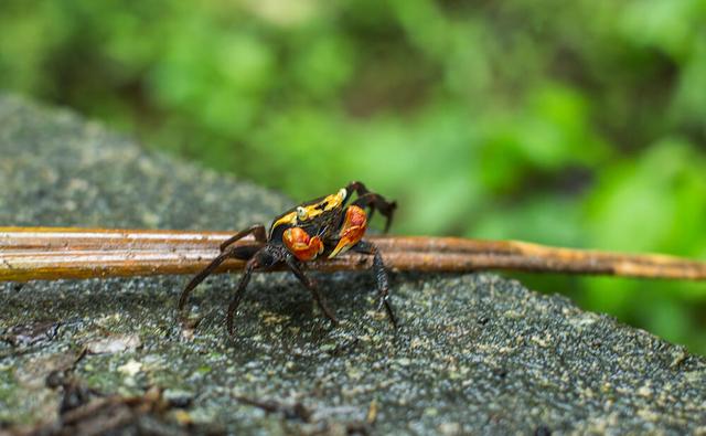 天氣炎熱,愛戶外徒步旅行的你要注意些什么?