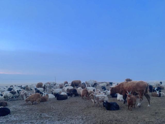 去蒙古國旅游回來,帶你了解真實的蒙古國