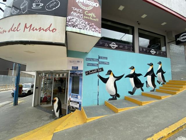 南極旅行體驗,這樣的風景你肯定沒有見過