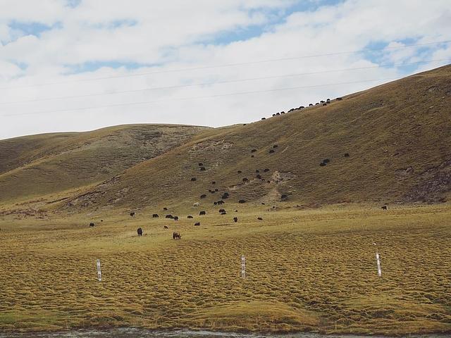 還記得那年秋天的稻城亞丁嗎?第一次去稻城亞丁旅游心得體會