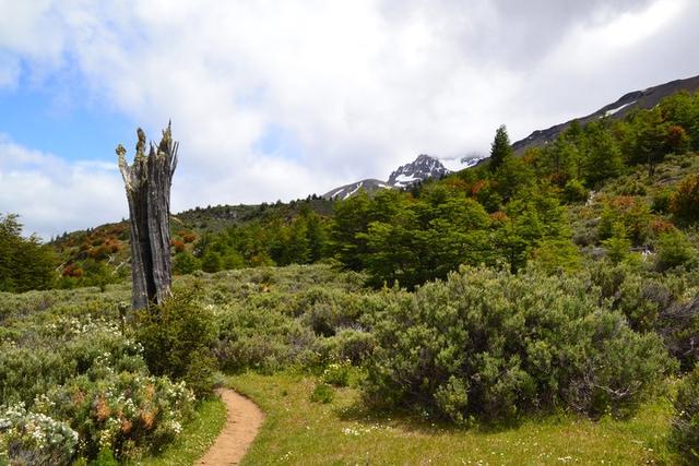 智利南部的巴塔哥尼亞游記,一路向北公路旅行