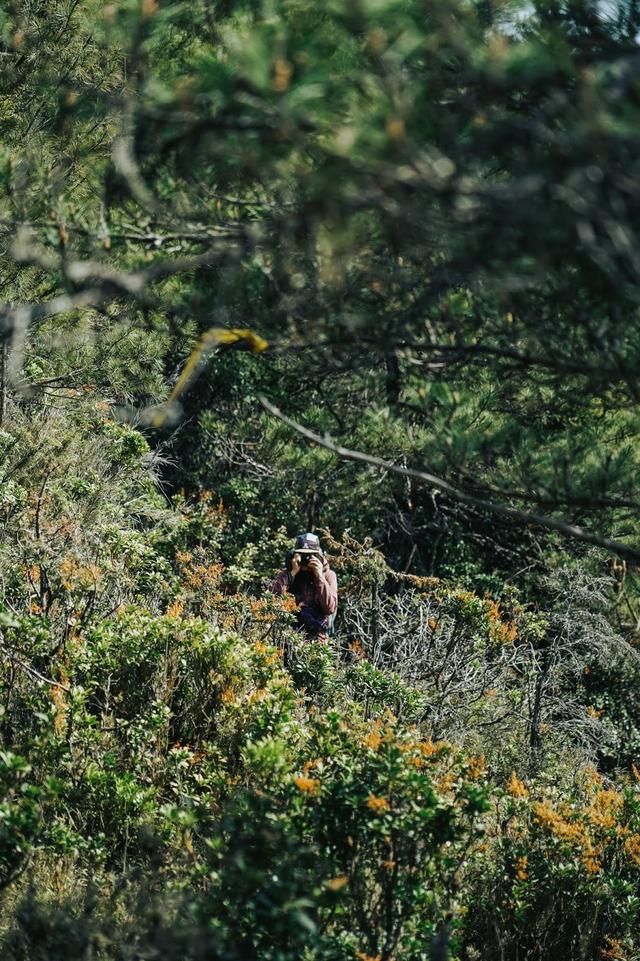 需要一件軟殼外套嗎?始祖鳥Arc’teryx Gamma SL實測