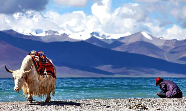 西藏與稻城亞丁,哪個高反較嚴重?