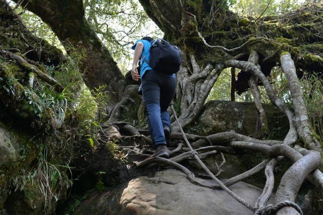 上學(xué)時(shí)買不起的戶外鞋,戶外頂尖品牌之一的LOWA低幫徒步鞋實(shí)測(cè)