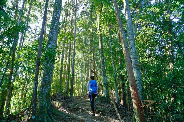 腳踩KEEN登山靴測評,沉迷登山自在快樂