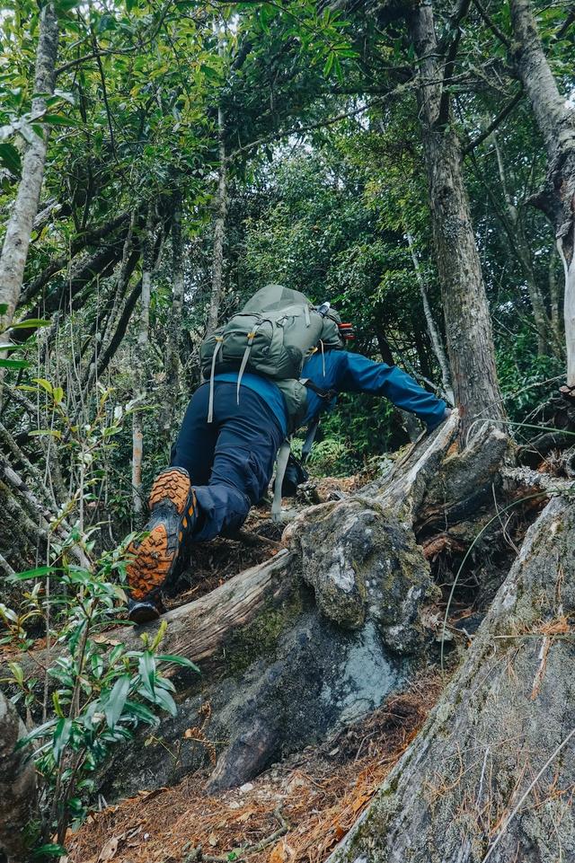 薩洛蒙salomon越野跑鞋實測,穿梭城市戶外和大自然來場親密約會