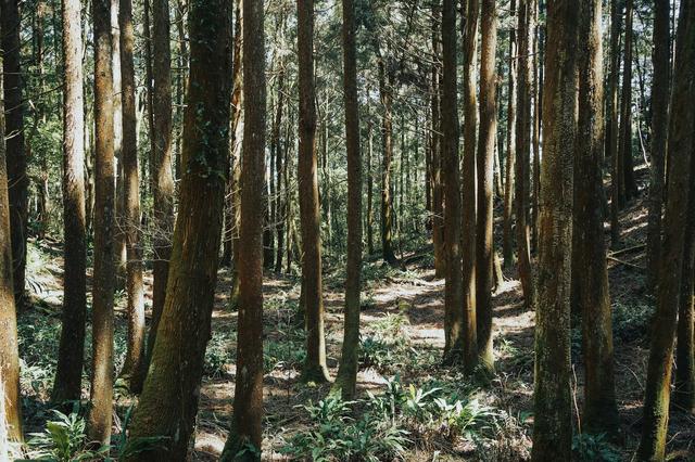薩洛蒙salomon越野跑鞋實測,穿梭城市戶外和大自然來場親密約會
