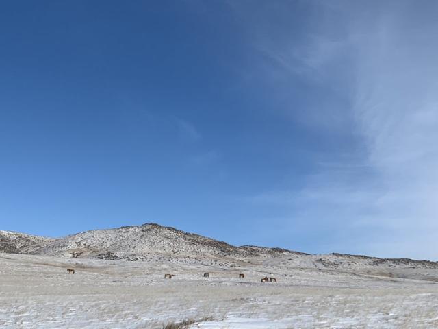 去蒙古國旅游回來,帶你了解真實的蒙古國