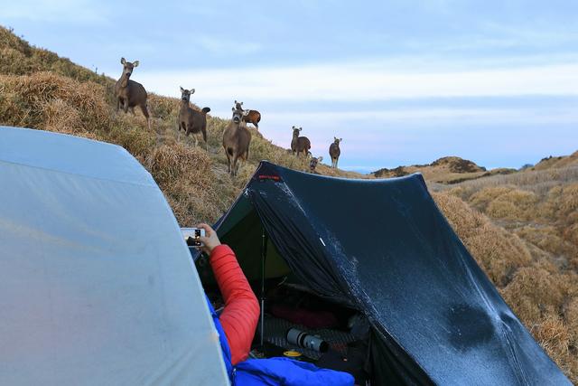 帳篷知多少,世界頂級帳篷Hilleberg新款帳篷實測體驗
