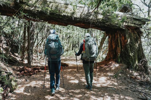 GREGORY(格里高利)新款背包開箱實測,兼具背負與輕量化的登山包