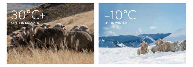 Icebreaker連帽羊毛外套評測,一穿就愛上的新西蘭戶外品牌