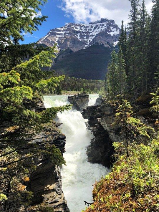 加拿大自駕游,冰原大道公路上的一路美景