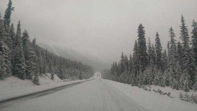 加拿大自駕游,冰原大道公路上的一路美景