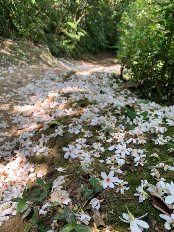 穿上Columbia哥倫比亞防水徒步鞋,隨時說走就走的輕松郊外游