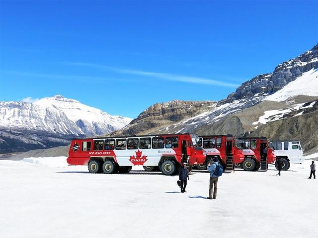 加拿大自駕游,冰原大道公路上的一路美景