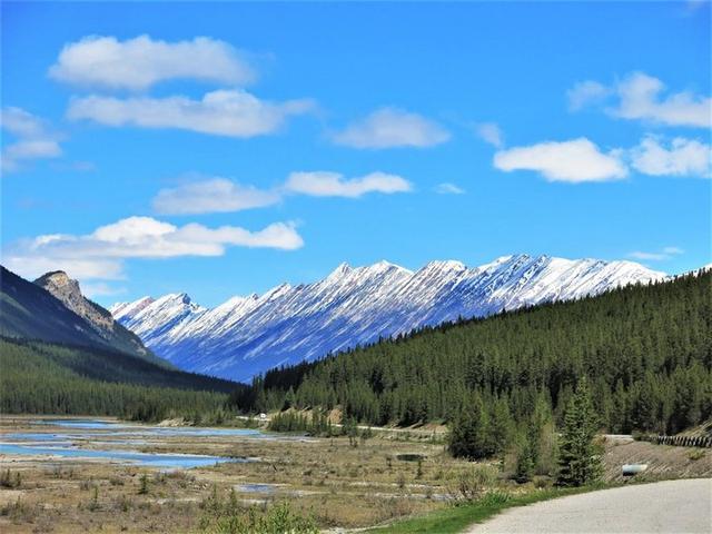 加拿大自駕游,冰原大道公路上的一路美景