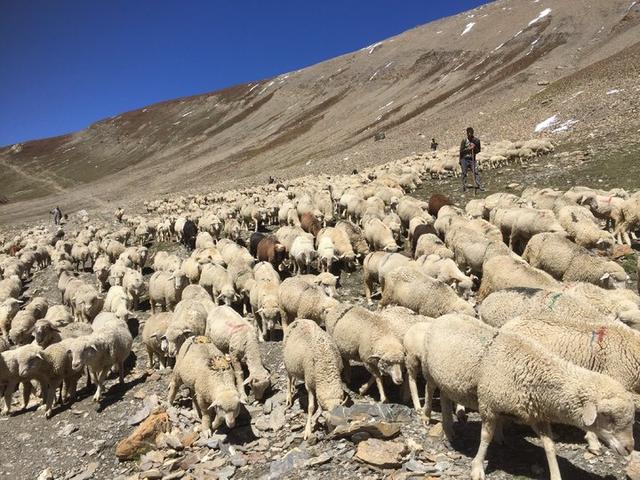 鮮為人知的徒步路線,克什米爾最受歡迎的地方之一