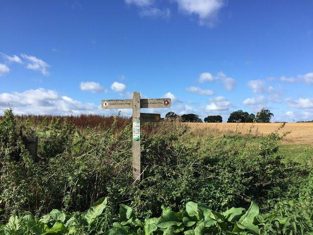 英格蘭南唐斯丘陵國家公園,喜歡徒步旅行的露營的都可以來這